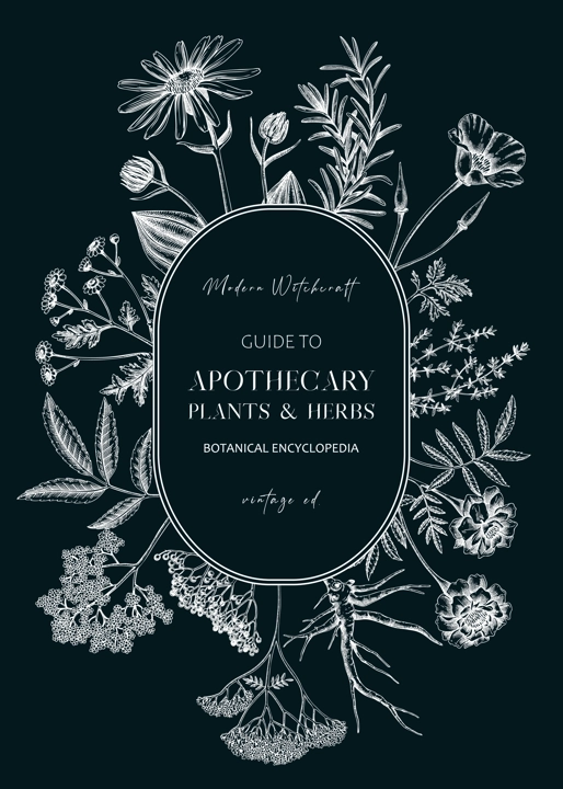 Apothecary plant wreath design. Witchcraft background. Herbal remedies, medicinal plant, witch herbs, natural medicine hand-drawn vector illustration on chalkboard. NOT AI genereted